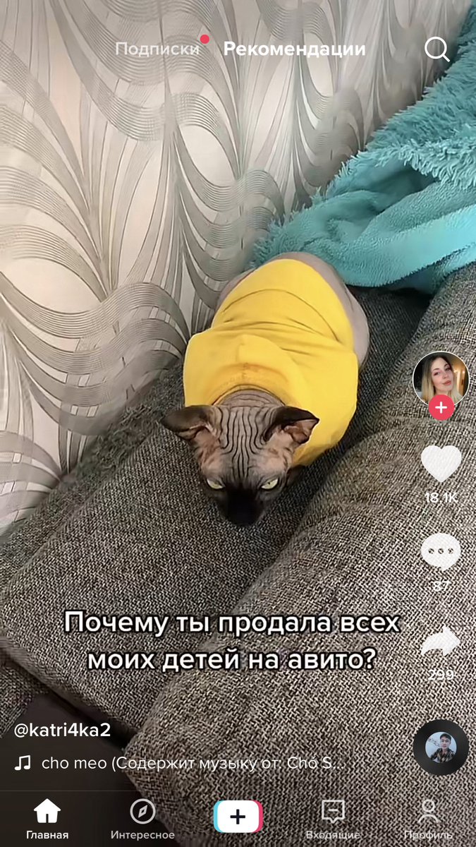 tvoyi_muziki's tweet image. БЛЯТЬ