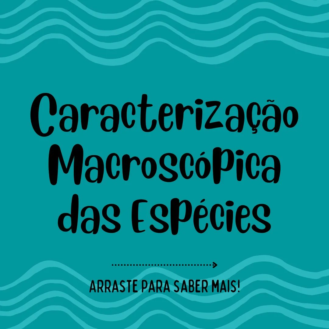 labictioufs's tweet photo. Você sabe como acontece a caracterização macroscópica das espécies em laboratório?

Venha saber mais! ⬇️

Acesse o link: https://t.co/4Fs1zAS4Je https://t.co/IrQelUryOw