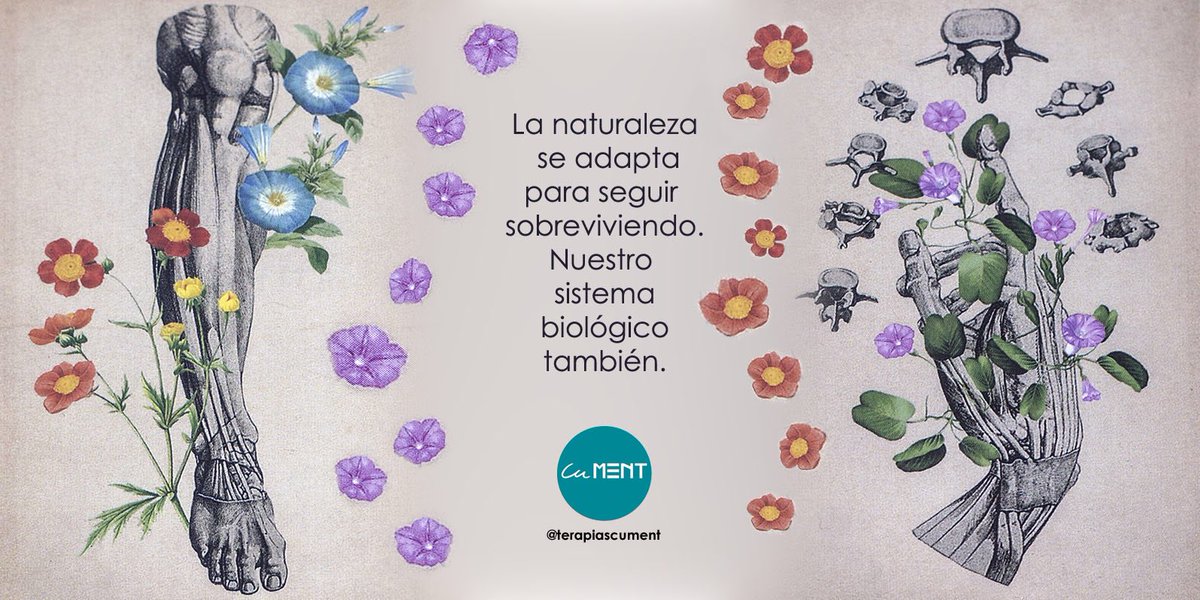 terapiascument's tweet photo. Tú biología habla de tu biografía.
La salud/enfermedad de hoy es la adaptación de tu organismo a los impactos del ayer.

#salud #enfermedad #biologia #organismo #leyesbiologicas #nuevamedicinagermanica #vivirsinmiedo https://t.co/ZasVCyHv3O