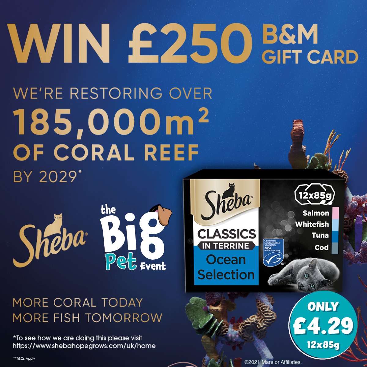 bmstores's tweet photo. 🐱#COMPETITION TIME- ENDS TOMORROW 🐱

We've launched our #PetEvent, &amp; have partnered with @ShebaBrand to giveaway a £250 B&amp;M gift card to ONE lucky winner!

For a chance to #WIN, simply 

1) FOLLOW US
2) RT this post
3) COMMENT the name of your pet!

Competition ends 9am 11/3/22 https://t.co/maovMhbPJg