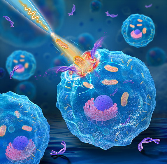 NanoLetters's tweet photo. A thermoplasmonics combined optical trapping (TOT) technique was demonstrated for selective single cell surgery, and further for targeted gene delivery and intracellular organelle manipulation, without interfering neighboring cells. https://t.co/k5VzpydoDz /#NLAR https://t.co/XOCw0BG4L5