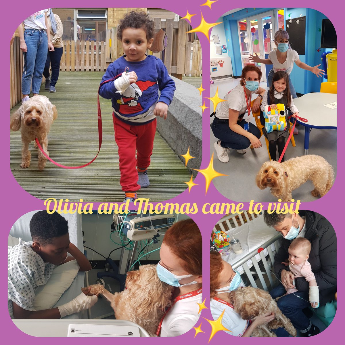 Whittingtonplay's tweet photo. Pet therapy today at the Whitt!
With the added bonus of Louise the magician. What a great day #pettherapy #spreadasmile https://t.co/EgiQ9nCfh2