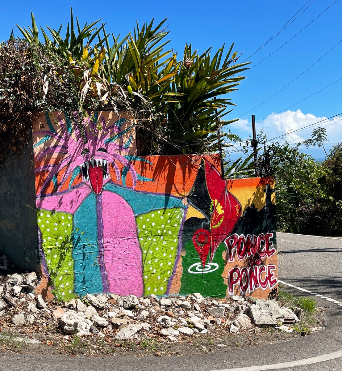 pollomaldonado's tweet photo. #Ponce #PonceEsPonce #RumTour https://t.co/311BhXYXTq