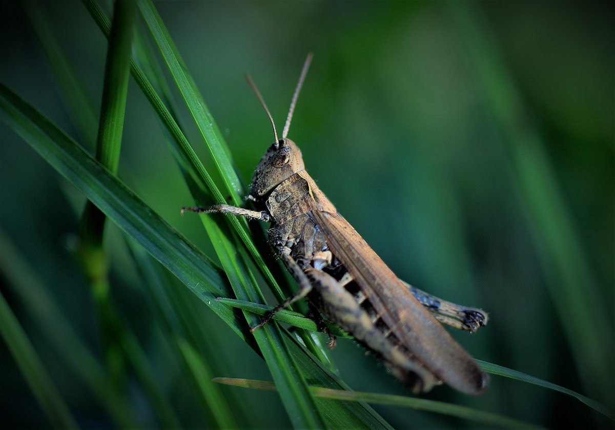 Excellence Magazine tweet media