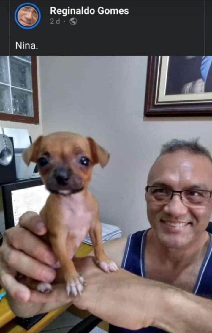 MerecemOMundo's tweet photo. ۰ *ੈ *Personagem 3* ༉‧₊˚✧
↳ Nina.
↳ Facebook - Reginaldo Gomes
"Nina." 🐕 https://t.co/tLi1IQBp1m