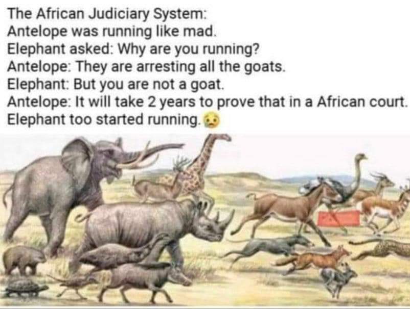AsafoKweku's tweet photo. I tell u 🤣🤣🤣 https://t.co/zLC8XhHTTK