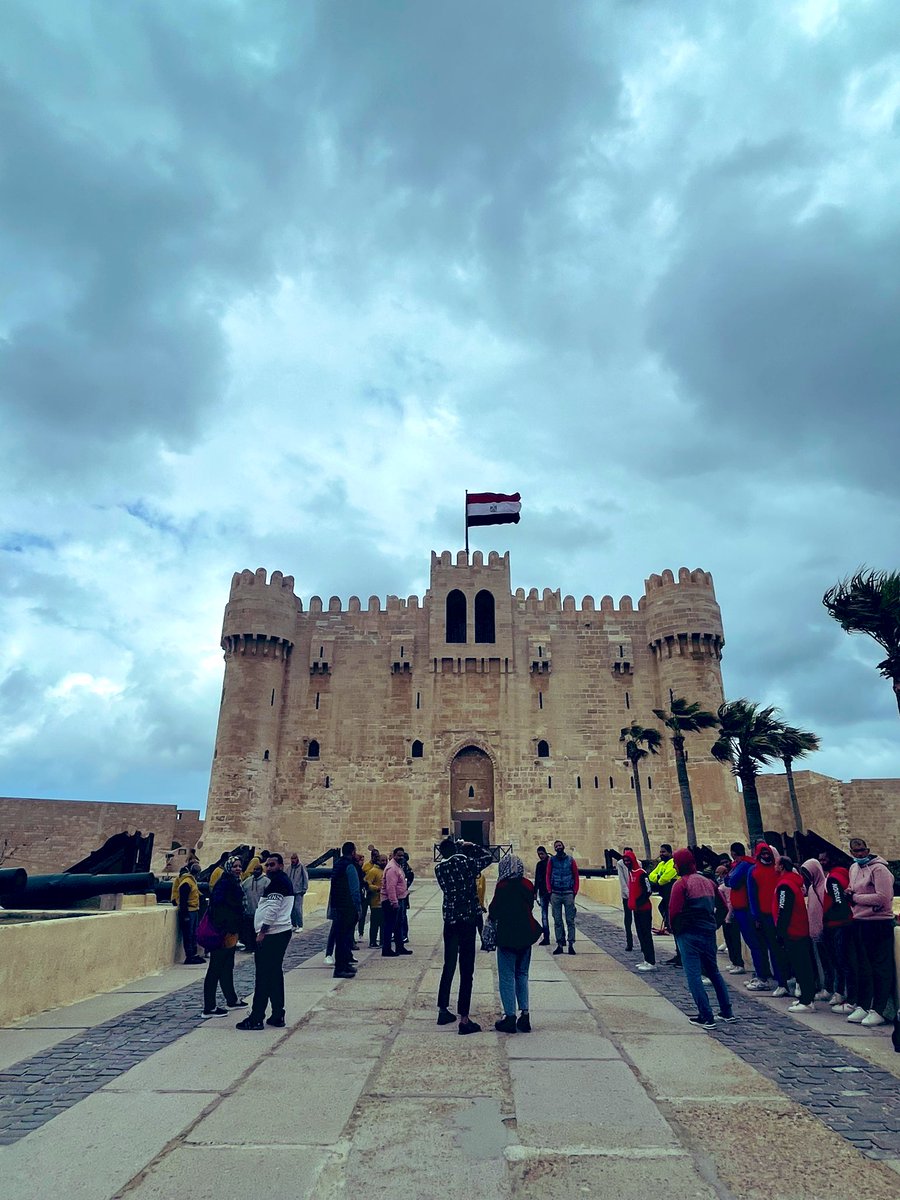 mnl_zh's tweet photo. #alex #Alexandria https://t.co/HfzoC6zdxd