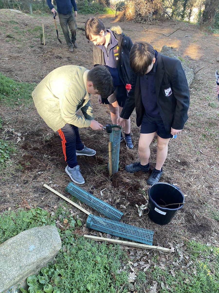 LMDCHS Enrichment (@lmdchsca) on Twitter photo Fantastic <a href="/LMDCHS_JLT/">LMDC Junior Leadership Team</a> tree planting event with <a href="/LaSocieteG/">La Sociรฉtรฉ Guernesiaise</a> & <a href="/Treeman0/">Guernsey Trees for Life</a>. The JLT organised the community project at Le Guet and students had the opportunity to plant over 50 trees in the area!! Looking forward to seeing these trees grow ๐ฑ ๐ณ ๐ Fantastic <a href="/LMDCHS_JLT/">LMDC Junior Leadership Team</a> tree planting event with <a href="/LaSocieteG/">La Sociรฉtรฉ Guernesiaise</a> & <a href="/Treeman0/">Guernsey Trees for Life</a>. The JLT organised the community project at Le Guet and students had the opportunity to plant over 50 trees in the area!! Looking forward to seeing these trees grow ๐ฑ ๐ณ ๐