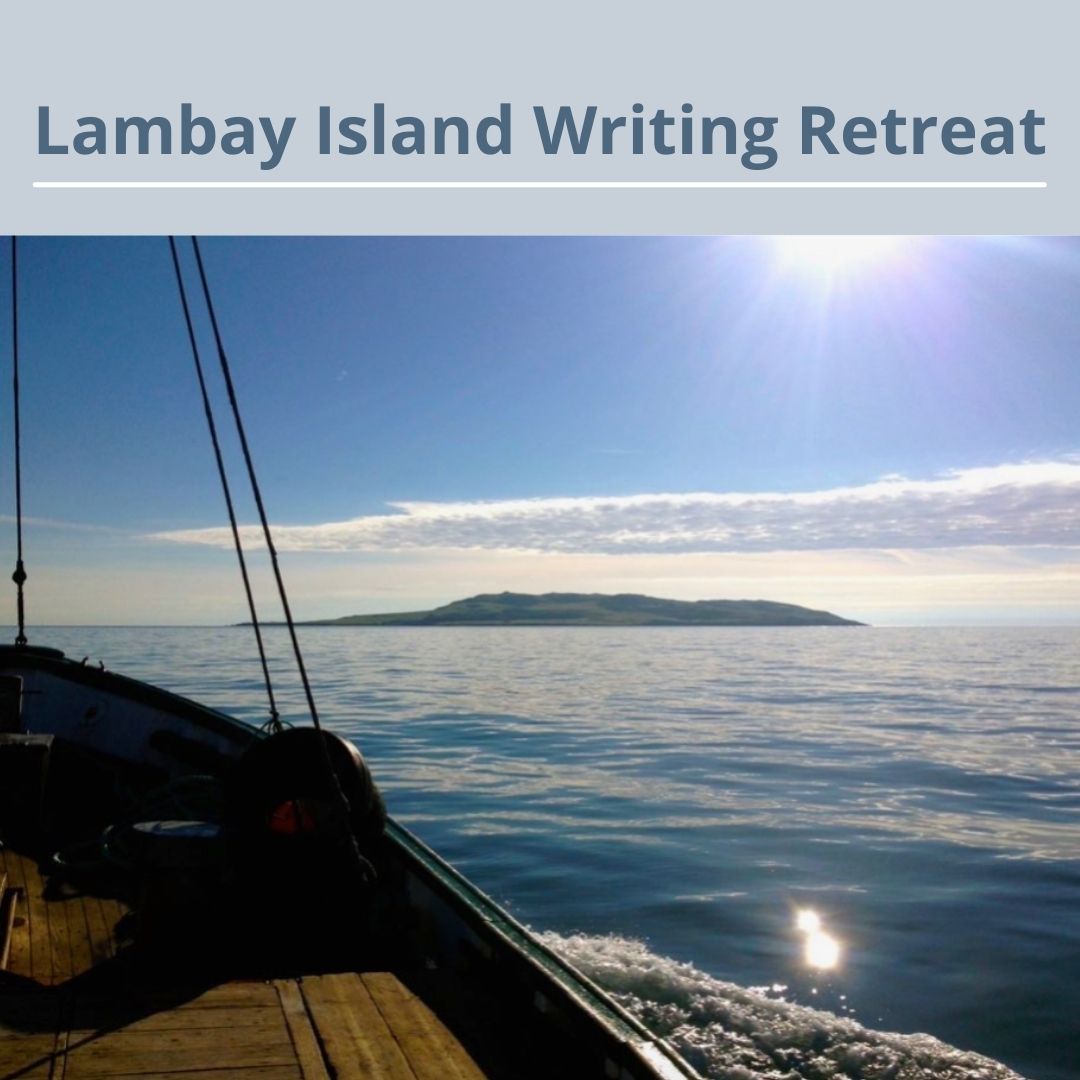 PelumbraLtd tweet media