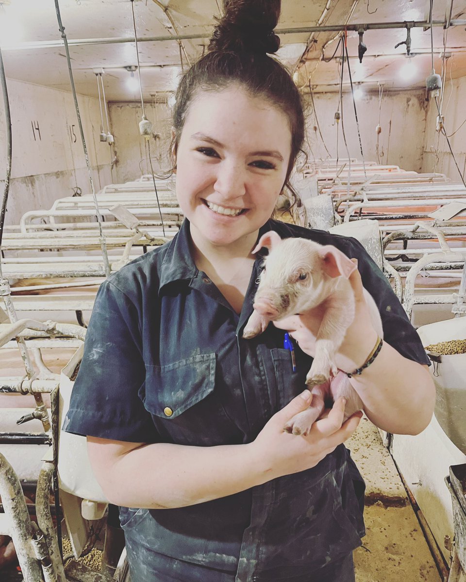 mdhs_co_op's tweet photo. What a great morning!  Today Alex gave me a tour of the sow barn where she’s working and learning.  Alex assists in managing herd health and feeding and caring for MANY 🐷’s, big and small, in this barn. #womeninag https://t.co/Yl6oviAYRD