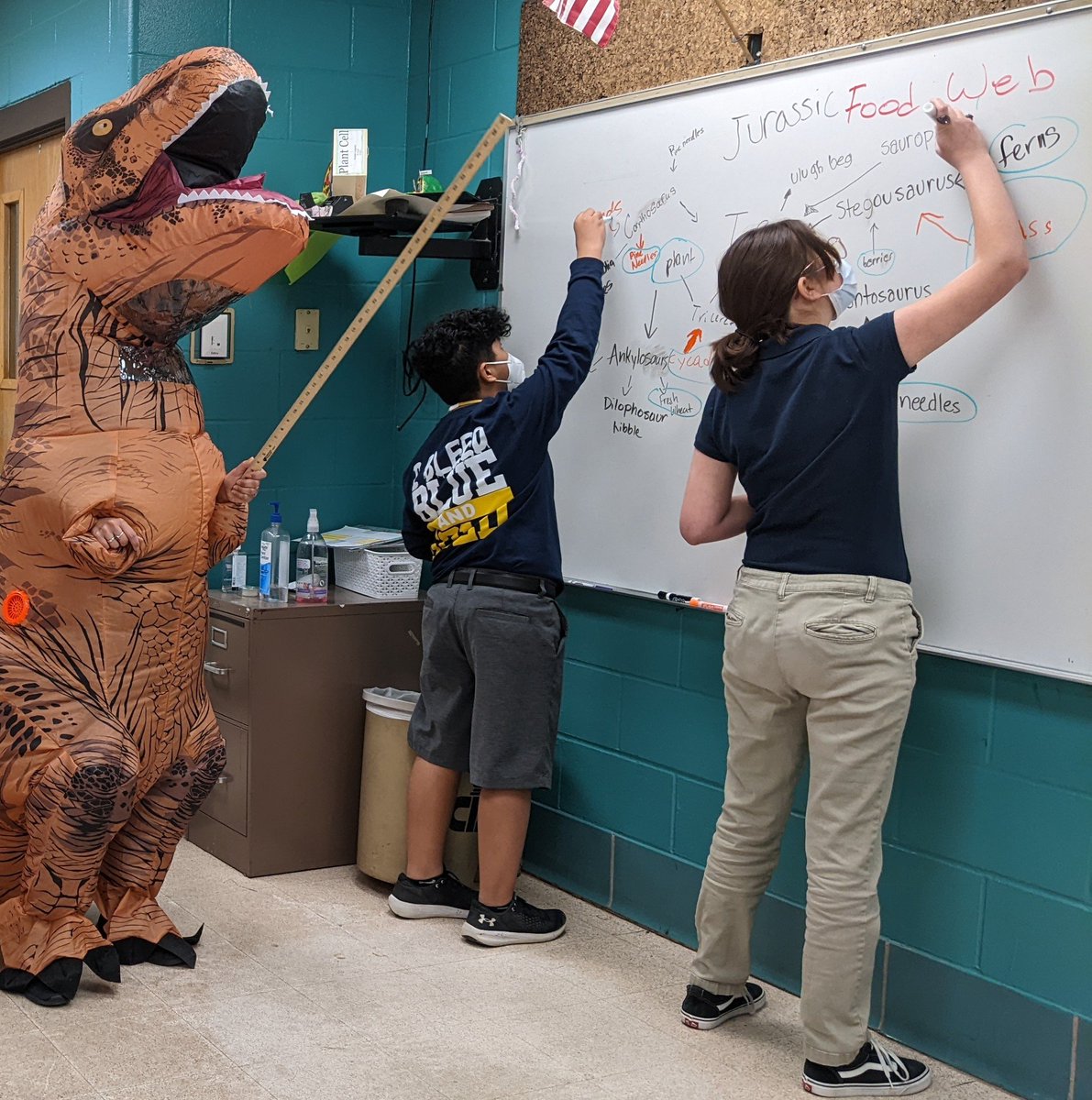 Azul Purcell tweet media