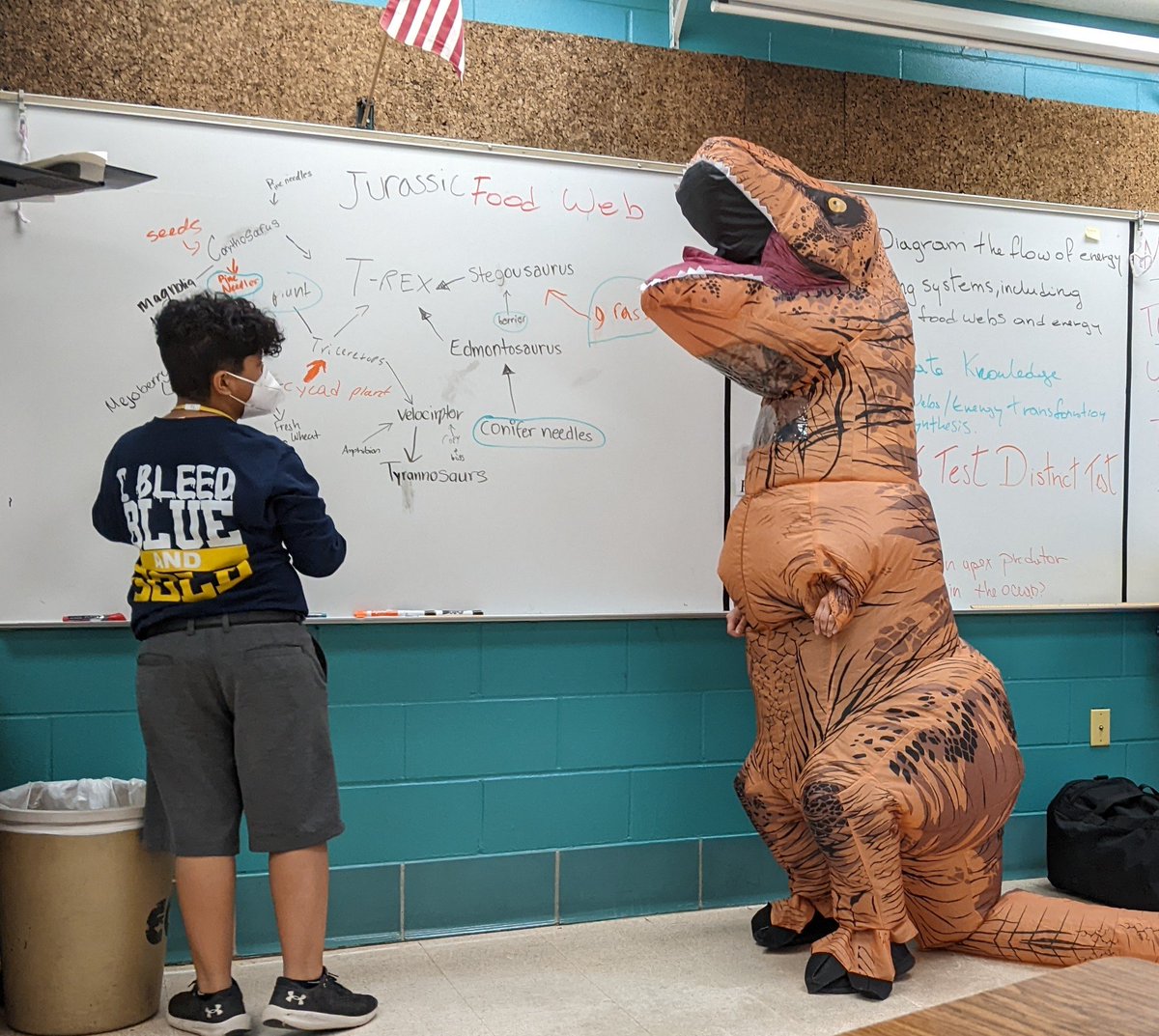 Azul Purcell tweet media