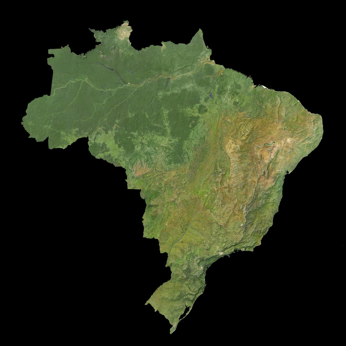 Cchurchili's tweet image. A #cloudfree #image of #Brazil #Brasil with a bit of shaded relief blended in. The result of a few days of experimenting and cleaning. Made (mostly) with #Sentinel imagery and #GEE.