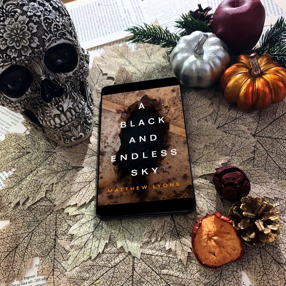 word_wandering's tweet photo. ARC #BookReview
See below for a full review of @cannibalghosts new book A Black and Endless Sky!
And be sure to grab a copy when it drops next Tuesday!
Rating: 🌟🌟🌟🌟🌟
Chicken Rating: 🐔🐔🐔
Thank you @NetGalley and #KeylightBooks for allowing me an advanced copy! https://t.co/eFbjQtUUBB