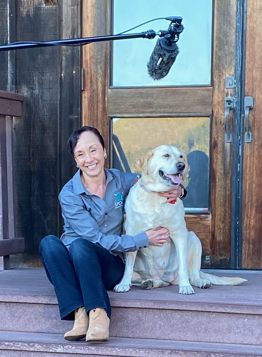 SPCAmc's tweet image. It&apos;s not too late to donate and help all animals in need in our community. We simply can&apos;t do this without you.   Woof, purr, thank you to La Buena 103.5 FM and Luna 106.3 for sponsoring A Day of Giving!  spcamc.org/give-today
#spcamc