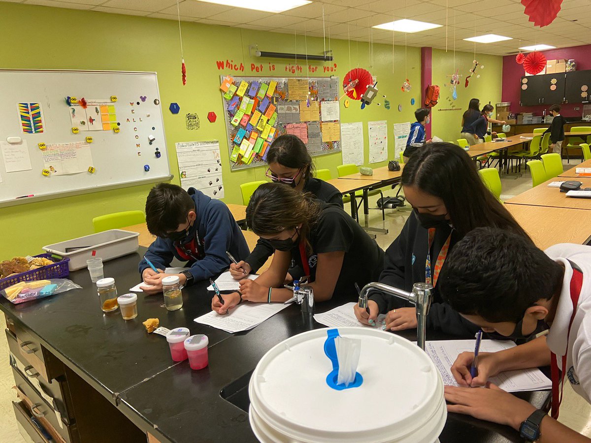 HDMcMillan's tweet image. Medical magnet 6th grade studying the 'Effect of Pollution on Natural Sponges' #STEMis @MDCPSSouth
