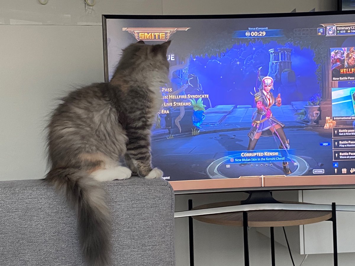 tim_david_adam's tweet photo. @SMITEGame its smite time #smite https://t.co/QLx0PWQWM6