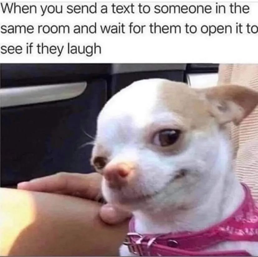 teachergoals's tweet photo. We all have friends like these. 😂🤣 https://t.co/TdOKb1zblJ