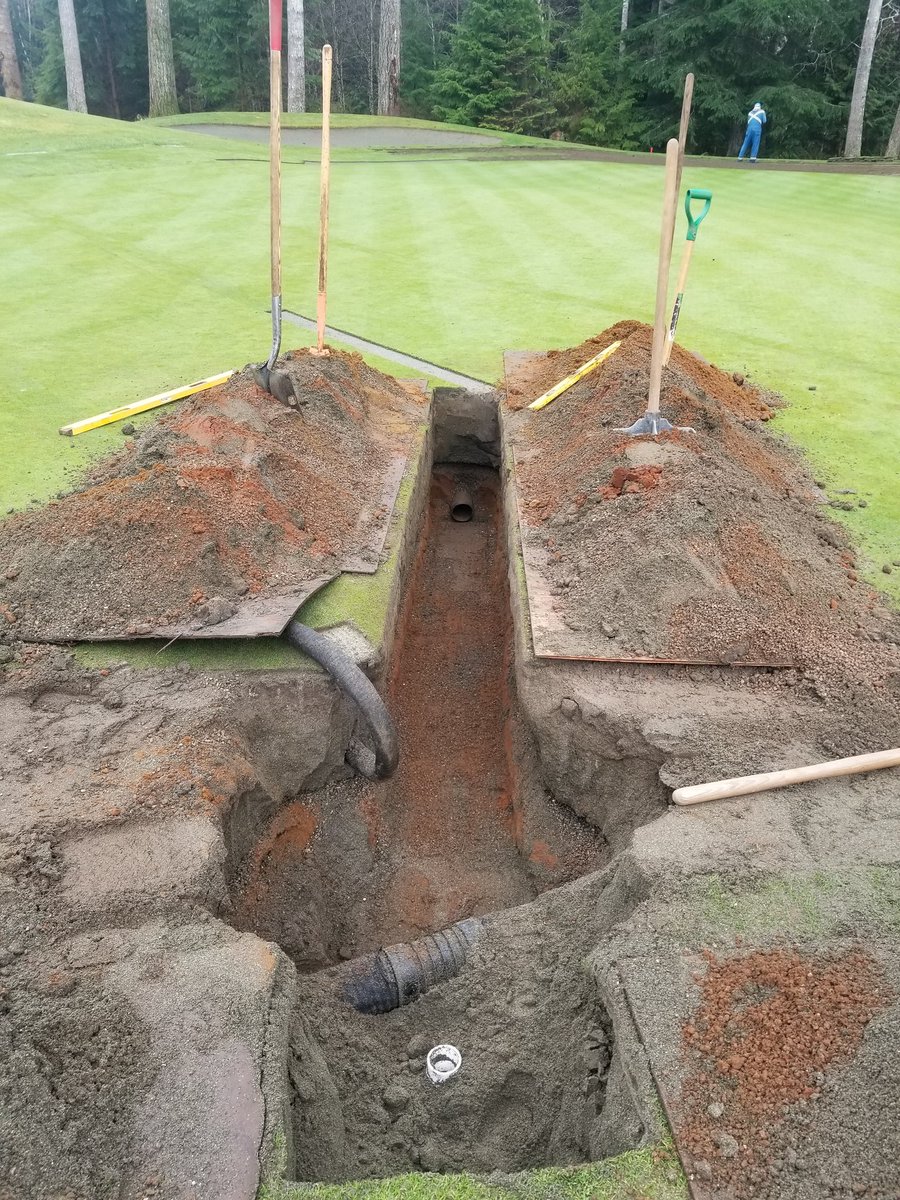 Scott Webster tweet media