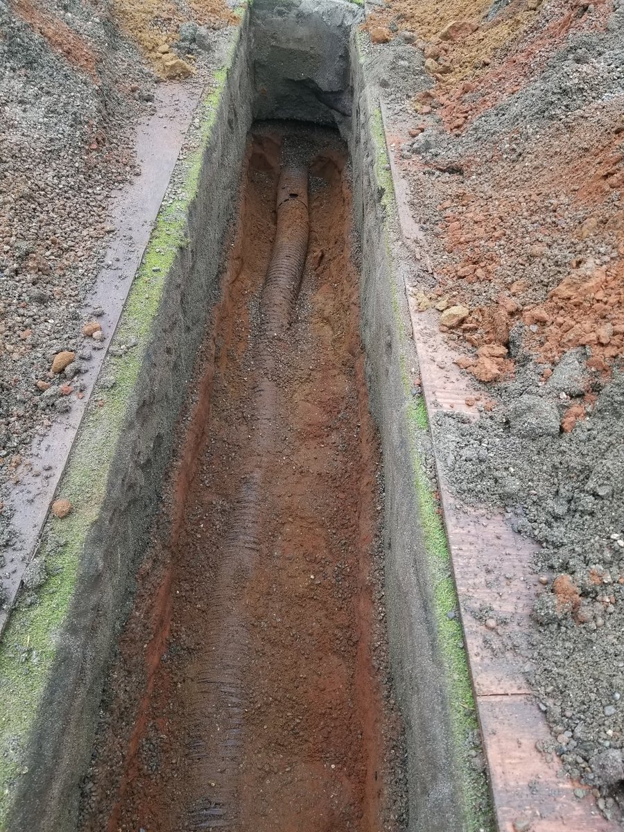 Scott Webster tweet media