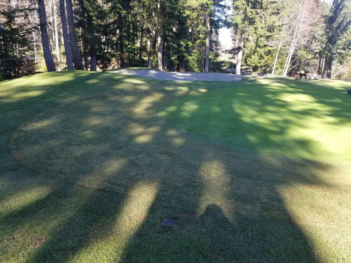 Scott Webster tweet media