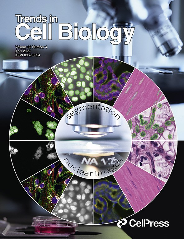 Peter Horvath (@hpke1980) on Twitter photo We are happy to announce our new single nucleus segmentation paper (that is the cover of the current issue in TCB). #deeplearning #singlecell #nucleus #segmentation <a href="/BIOMAGlab/">BIOMAG</a> <a href="/spreka007/">Réka Hollandi</a> <a href="/nick_moshkov/">Nikita Moshkov</a> <a href="/Lastu21/">Lassi Paavolainen</a> <a href="/BiochemBrc/">BRC Biochem</a> <a href="/FIMM_UH/">FIMM HelsinkiUni</a> <a href="/TrendsCellBio/">Trends Cell Biology</a> cell.com/trends/cell-bi… We are happy to announce our new single nucleus segmentation paper (that is the cover of the current issue in TCB). #deeplearning #singlecell #nucleus #segmentation <a href="/BIOMAGlab/">BIOMAG</a> <a href="/spreka007/">Réka Hollandi</a> <a href="/nick_moshkov/">Nikita Moshkov</a> <a href="/Lastu21/">Lassi Paavolainen</a> <a href="/BiochemBrc/">BRC Biochem</a> <a href="/FIMM_UH/">FIMM HelsinkiUni</a> <a href="/TrendsCellBio/">Trends Cell Biology</a> cell.com/trends/cell-bi…