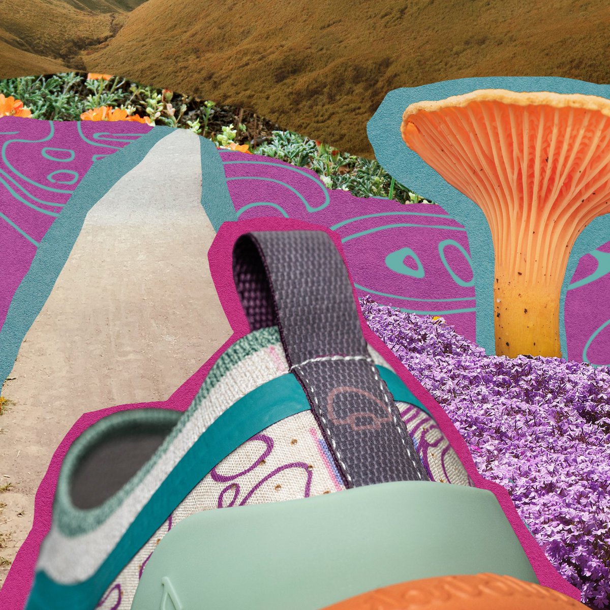 Allbirds tweet media