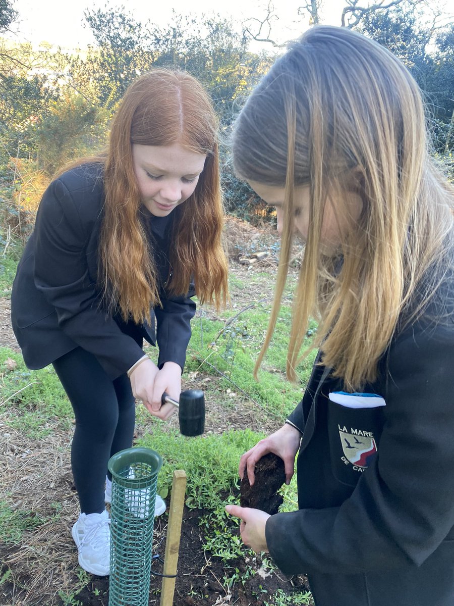 Some of our KS3 students getting involved in JLT’s community tree planting initiative! Great work girls! #JLT #Trees #laguet