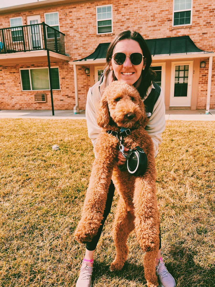 Lily 💙💛 tweet media