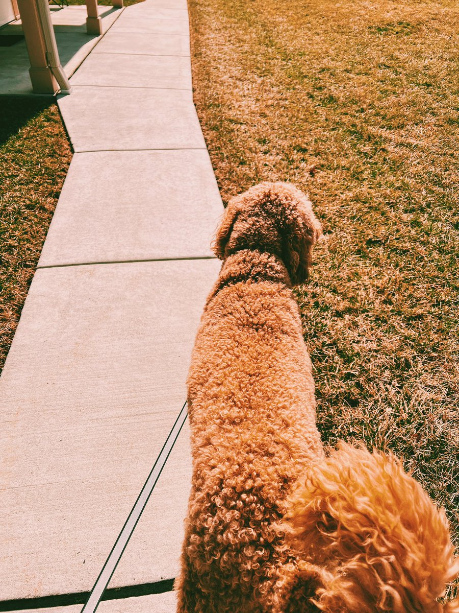 Lily 💙💛 tweet media