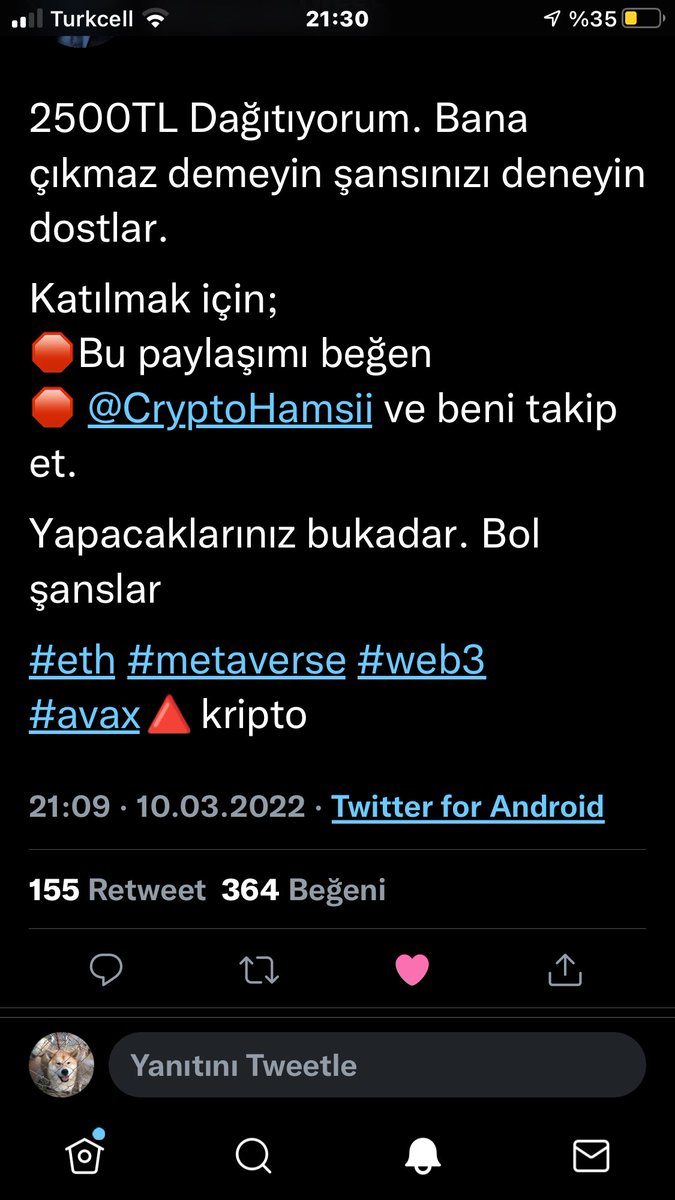 yesscoin's tweet photo. @kriptoefendisi_ @CryptoHamsii https://t.co/jkS1iwpG6i