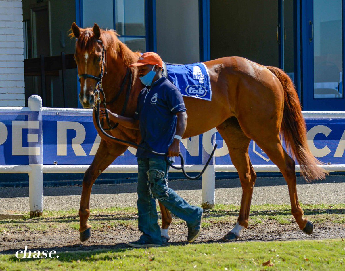 jo_campher's tweet photo. The new #CentenarySyndicate silks made their debut yesterday and our filly #NippyWinter ran another cracker to place 3rd. The Girlโs got heart and tries her best every time.
How Gorgeous are these silks?! ๐๐
@bassracingstble @aldo_domeyer https://t.co/EcvOnMzAUW
