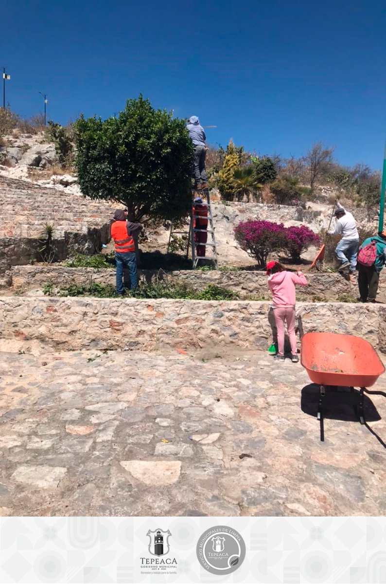 SMyPCTepeaca's tweet photo. #Informamos l A través de temas de salud, te informamos que se realizó jornada de limpia y poda en el área del mirador y el Parque Tepeyacatl, con el fin que al momento de tus visitas y actividades deportivas cuentes con espacios públicos más limpios y seguros. https://t.co/OBJNUZOvZj
