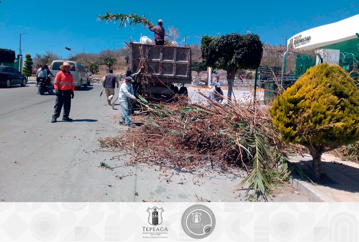 SMyPCTepeaca's tweet photo. #Informamos l A través de temas de salud, te informamos que se realizó jornada de limpia y poda en el área del mirador y el Parque Tepeyacatl, con el fin que al momento de tus visitas y actividades deportivas cuentes con espacios públicos más limpios y seguros. https://t.co/OBJNUZOvZj