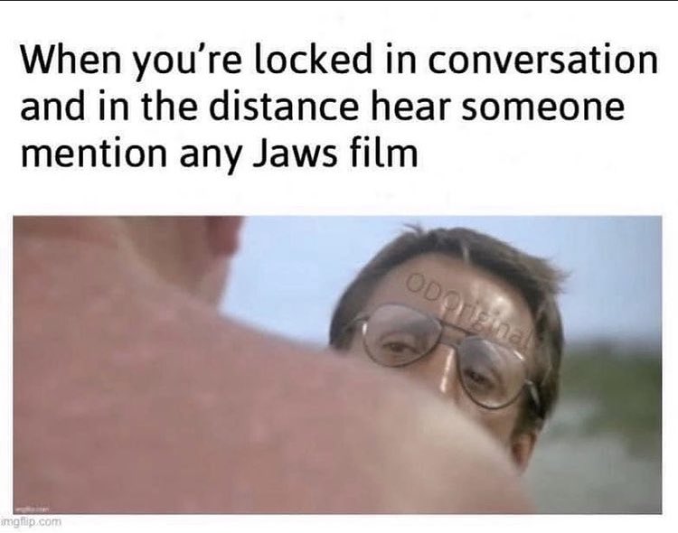 thedailyjaws's tweet photo. Retweet if this is you! 🤣🤣

#jaws #sharks #movies https://t.co/5kugmDN6gv