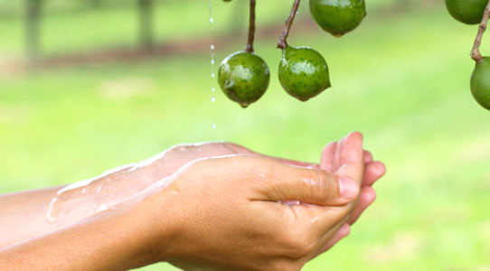 jindilli's tweet image. Its has been a while but @jindilli is back on Twitter!