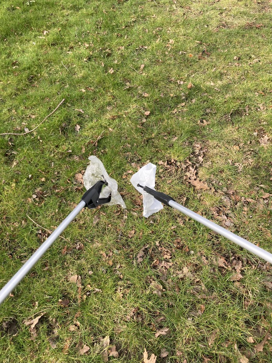 WGS Eco Committee tweet media