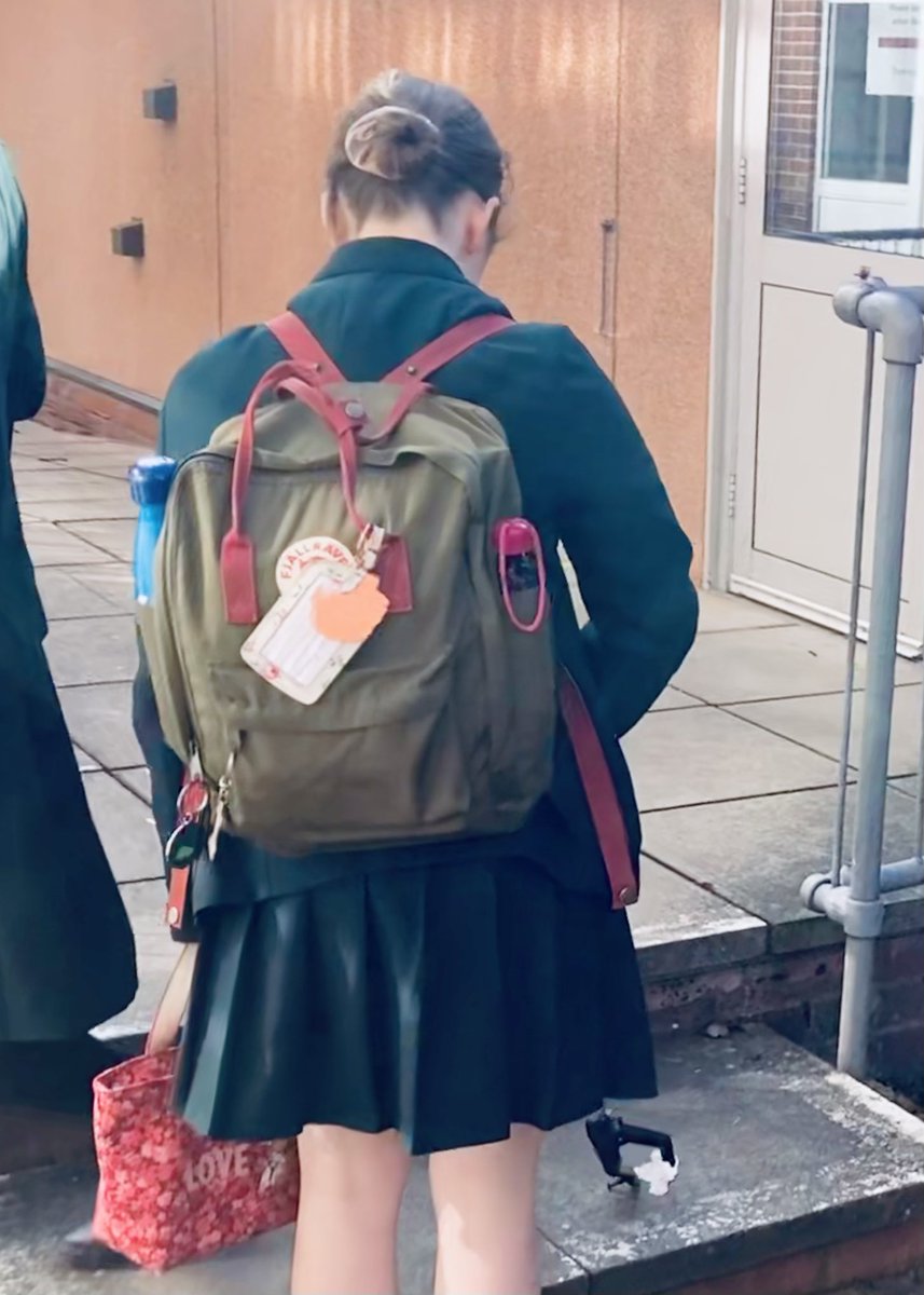 WGS Eco Committee tweet media