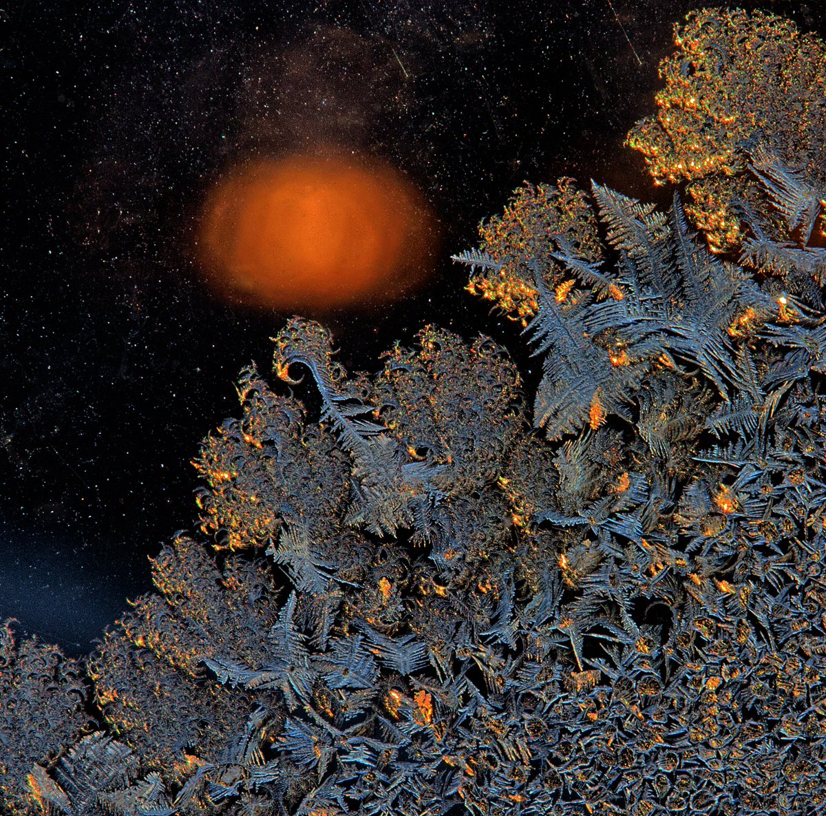 peter_jeschke's tweet photo. A Non-Fungible token (NFT) from my “Frost On My Windows” collection on OpenSea. (https://t.co/1GHowQeDQY) This is Frost S#2, a digital photographic image of winter's frost crystals on my window. https://t.co/uk8K3EsMpJ https://t.co/m4aqkvnKYW