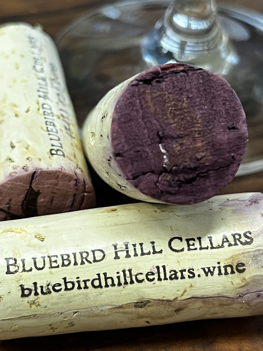 Join Nick Cheatham with Bluebird Hill Cellars today, March 10th, 4;30-6:00pm for some pretty scrumptious and amazing Southern Willamette Valley wines!  The tasting is free and we are offering 15% off all Bluebird Hill Cellars wines.  Not only that, but Nick is a graduate of OSU!