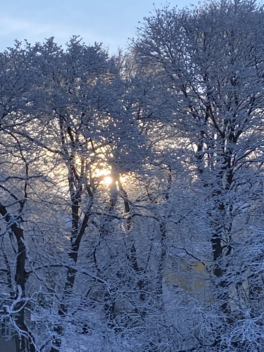 JCodtello's tweet photo. @growingwisdom Sunrise in Winchester https://t.co/Dy5QOzQCkN
