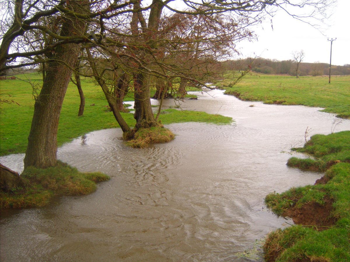 janeairpoetry's tweet photo. @ExtinctionR #edgonresources are determined to get permission to drill for #oil at #northkelsey and at #biscathorpeAAONB - we are putting up a fight !!! Our campaign to protect #Biscathorpe is growing and growing on #socialmedia A recent pic of flooding at #biscathorpe No to #oil https://t.co/rBvSAUQO4D