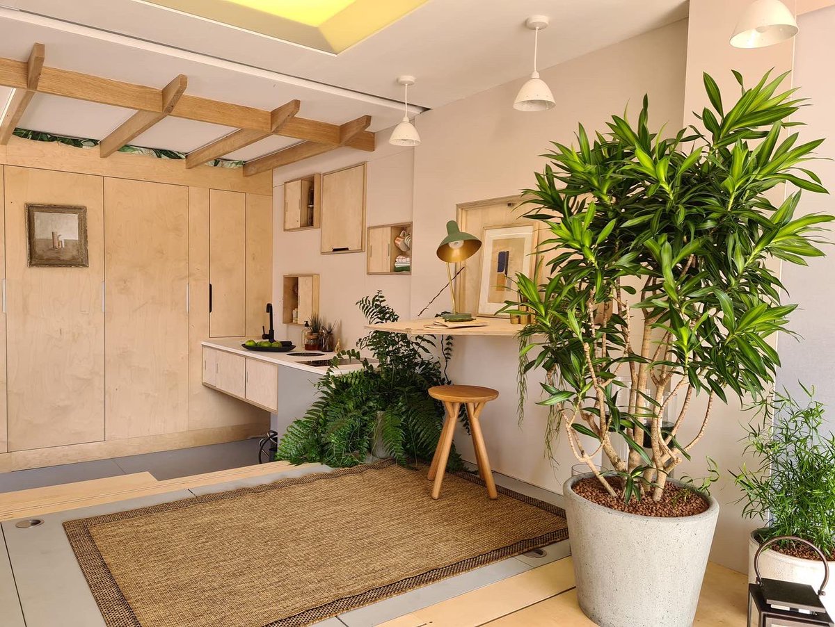 william_hardie's tweet photo. Our prototype studio flat about to transform into an indoor garden, designed and built for @GCAmazingSpaces In ‘flat mode’ a simple, tranquil arrangement but just about to transform… #amazingspaces @Channel4 @MrGeorgeClarke @studiohardie #interiors #garden #Wellbeing https://t.co/kWXyullOY8