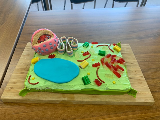 blakelocklib's tweet photo. Our Grade 12 Biology students brought their finished assignment to the LLC. They made a plant cell out of food and it's edible! We are going to miss you Mr. Shanks, this was one of your favourite assignments. #TABTigerLife #HDSBLibraries https://t.co/Fhi5ZPCQ8p
