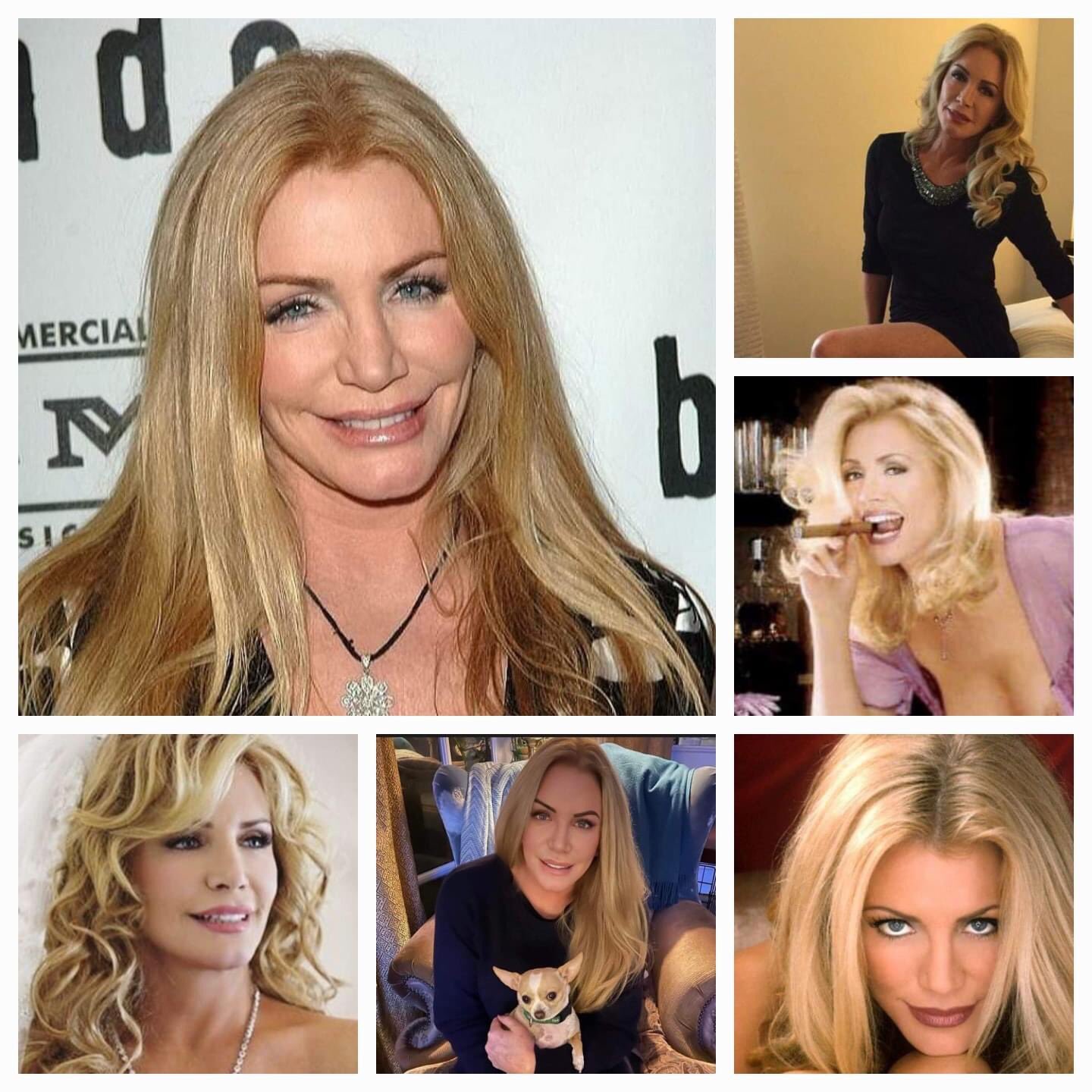 Happy 65th Birthday to Shannon Tweed 