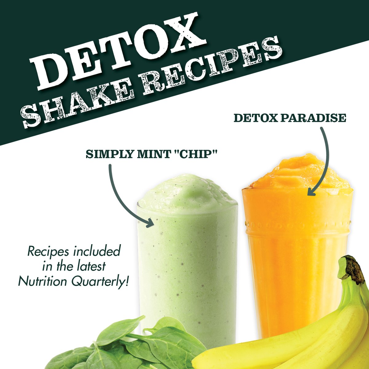 PFCNutrition's tweet photo. Tired of the same old green shake? Shake it up, with these unique detox shake recipes! Found in the latest Nutrition Quarterly! https://t.co/oqU4boNqH4 🥤
#recoveryshake #detoxshake #proteinshake #smoothierecipe #healthyeating #detox #smoothie https://t.co/oahUVut7Gd