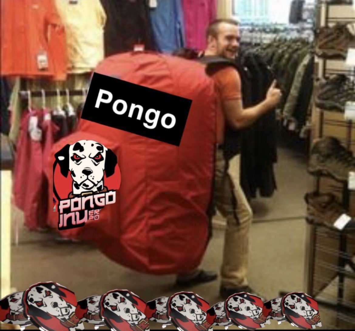 Pongo_Warrior's tweet photo. @PongoLambo @1goonrich @Pongoinutoken @pablo_cro Get you some 🗣 @Pongo_inu  🅿️
🚨PONGO INU PLAY OF THE YEAR
📢 🚨DON’T YOU SLEEP ON $PONGO
#PONGOINU #PONGO100x 
$PONGO #PongoinuToken 
#PONGOARMY #PONGOINU
#PONGO #croeffect #PONGOARMY #inu #gem #100xGems #ApexLegends #shib #1000xgem $MRI $Apollo #SHINTAMA $VOLT $SHIB $Floki https://t.co/sE4UOiqRw7