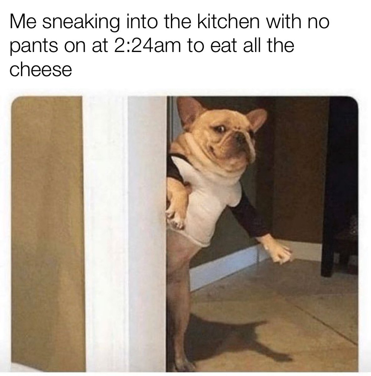 PadmaLakshmi's tweet photo. Because 🧀 https://t.co/ZGaSuBmJ0o