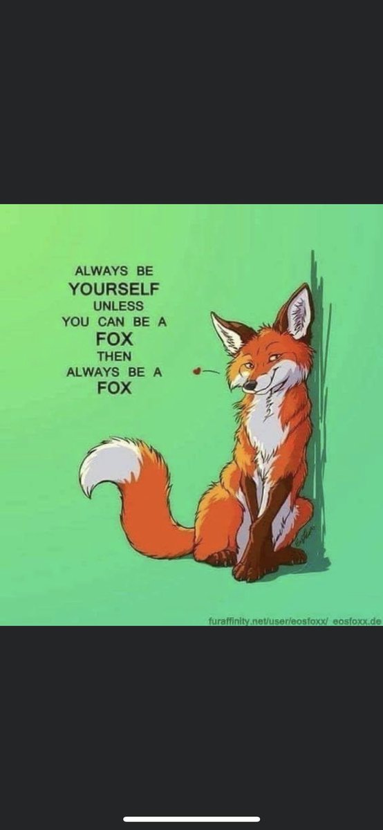 The Hunt Season has just about ended in Shropshire, this Saturday will hopefully be the last, until they start again in August cub hunting. What will those evil savages do for 5 months ? We love all wildlife, but the fox is my favourite  🦊 #wildlife