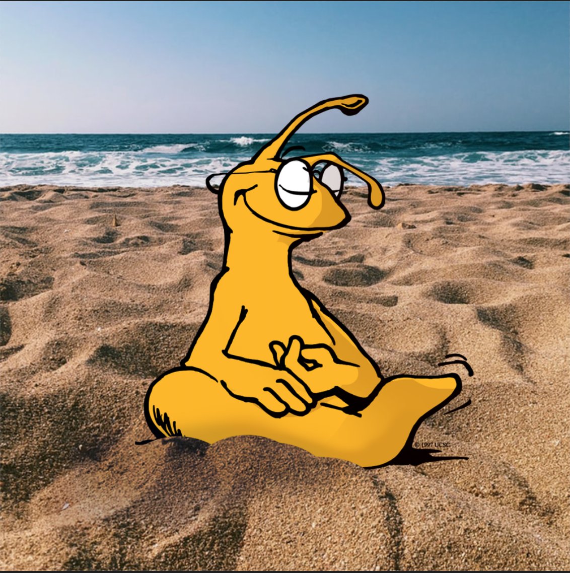 UCSCBayTree's tweet image. Come chill with sammy after finals and take a moment to breathe. Good luck slugs!!